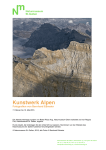Kunstwerk Alpen - Naturmuseum St.Gallen