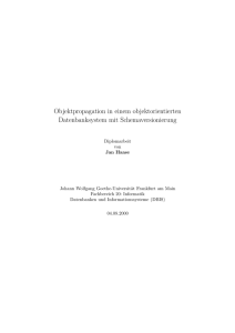 Objektpropagation in einem objektorientierten Datenbanksystem mit