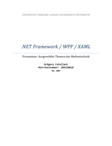 NET Framework / WPF / XAML - Informatik Information Server