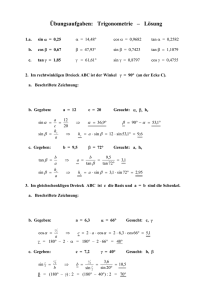Trigonometrie - Gymnasiums Ernestinum Coburg