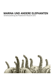 marina und andere elephanten - Phyletisches Museum
