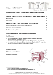 Fragensammlung: Testat IV – Rumpf, Canalis Inguinalis, Plexus