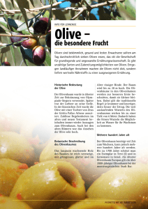 Olive - Pistor