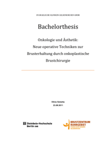 Bachelorarbeit - Steinbeis-Transfer