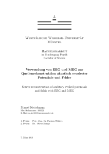 Westfälische Wilhelms-Universität Münster Bachelorarbeit