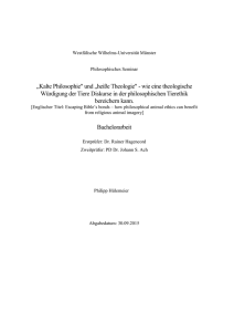 Philipp Hülemeier / Bachelorarbeit als PDF