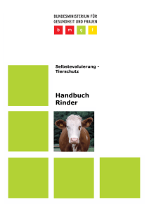 Handbuch Rinder - Bundesministerium für Gesundheit und Frauen