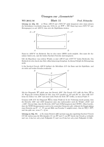 ¨Ubungen zur ” Geometrie“ Blatt 11