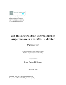 3D-Rekonstruktion extraokulärer Augenmuskeln aus MR