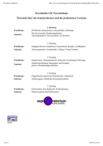 Neurobio Grundkurs