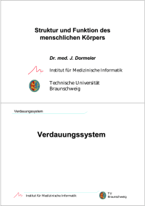 Verdauungssystem - Technische Universität Braunschweig