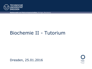 Tutorium 14 - B CUBE Dresden