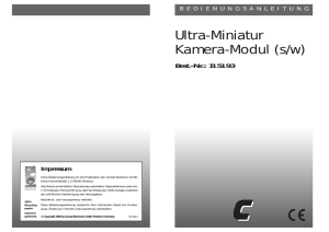 Ultra-Miniatur Kamera-Modul (s/w)