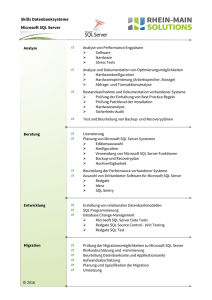 Microsoft SQL Server - Rhein