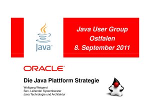 Oracle Java Strategie