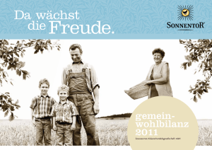 gemein- wohlbilanz 2011