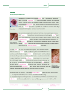 Konjunktivitis 4 krämpfe - Verlag Handwerk und Technik