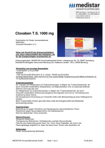 Cloxaben TS 1000 mg - MEDISTAR Arzneimittelvertrieb GmbH