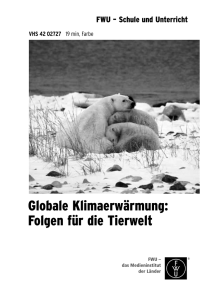 Globale Klimaerwärmung: Folgen für die Tierwelt
