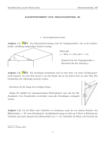 Mathematik macht Freu(n)de Trigonometrie, III KOMPETENZHEFT