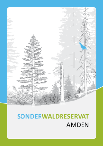 sonderwaldreservat amden - St.Galler Wald
