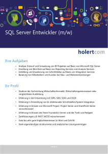SQL Server Entwickler (m/w)