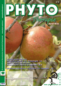 Granatapfel (Punica granatum) 4S.7 - bei PHYTO Therapie