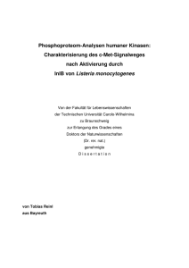 Phosphoproteom-Analysen humaner Kinasen: Charakterisierung
