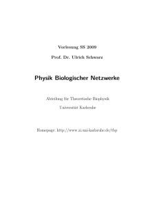 Physik der Netzwerke - Institut für Theoretische Physik