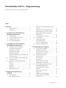 Praxisleitfaden SAP XI – Programmierung