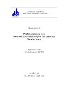 Studienarbeit Partitionierung von Netzwerkbeschreibungen für