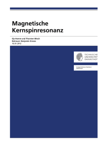 Magnetische Kernspinresonanz - virtual