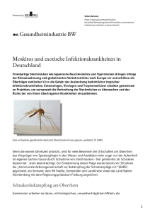 Moskitos und exotische Infektionskrankheiten in Deutschland