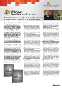 Windows Small Business Server 2003 – Kosten im Griff mit der