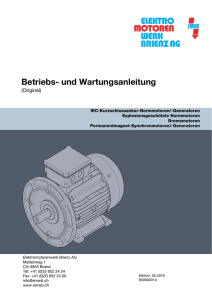 IEC-Ex-Normmotoren DE - Elektromotorenwerk Brienz AG