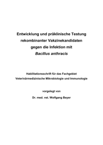 Entwicklung und pr&auml;klinische Testung rekombinanter