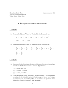 8. ¨Ubungsblatt Vorkurs Mathematik