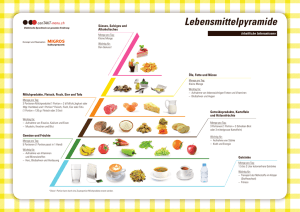 Spielvorlage Lebensmittel-Pyramide DIN-A3 (PDF - conTAKT-menu