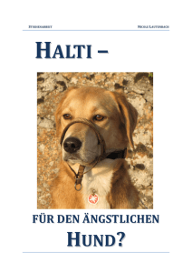 Der ängstliche Hund - Mobile Hundeschule Bergstrasse