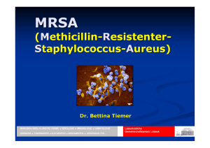 Staphylococcus aureus - Laborärztliche Gemeinschaftspraxis Lübeck