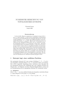 NUMERISCHE BERECHNUNG VON TOPOLOGISCHER ENTROPIE