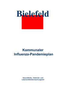 Kommunaler Influenzaplan - Business