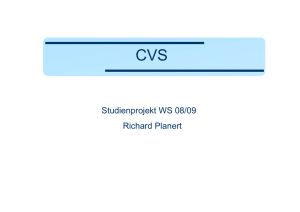 Studienprojekt WS 08/09 Richard Planert