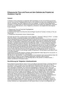 Bericht im PDF - Projet d`Analalava