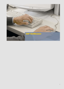 SAP NetWeaver Business Intelligence, SAP NetWeaver Portal, SAP