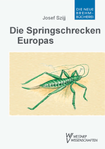 Leseprobe - Die Springschrecken Europas