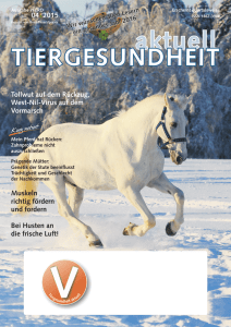 Pferd 04-2015 - Tierarzt Owschlag