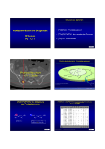 Prostata-Karzinom C