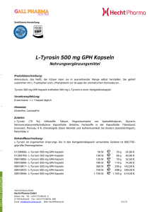 L-Tyrosin 500 mg GPH Kapseln Nahrungsergänzungsmittel