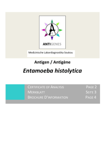 Entamoeba histolytica - Medizinische Labordiagnostika